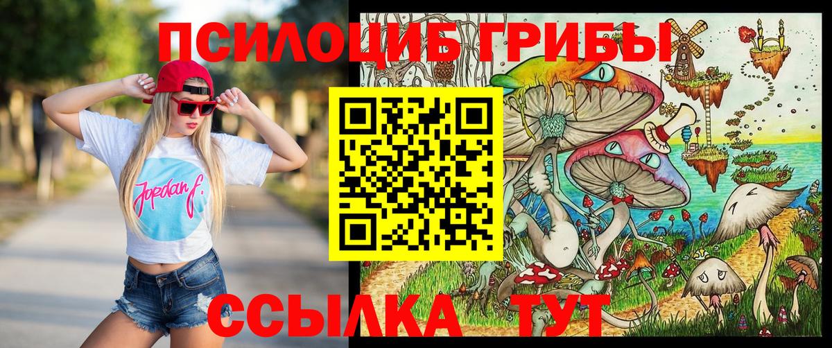 Псилоцибиновые грибы MAGIC MUSHROOMS  Псилоцибиновые грибы Cubensis  Белебей  наркошоп  Вход с VPN 